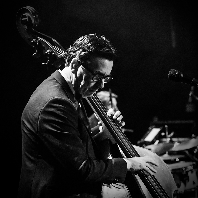 Bas Schneider on stage with upright bass